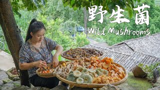 Yunnan people are currently obsessed with one thing mushroom foraging in the mountains…【滇西小哥】 [upl. by Enilrem]