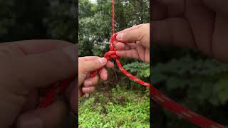 Wild Butterfly Knot bushcraft survivalskills camping outdoors [upl. by Idihsar]