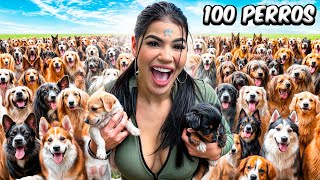 ADOPTÉ 100 PERROS en MI CASA [upl. by Ilatfan]