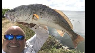 Amazing fishing trip to Titusville Florida 2019 [upl. by Zetra]