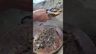 gold prospecting 2024 finding gold in sand gold prospecting for beginners [upl. by Lapo]