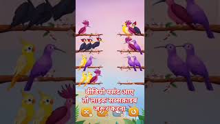 cute birds shortviral vlogs shotcutebirds bhojpuri ganashortvid gaanabhojpuri funny [upl. by Aneehsyt721]