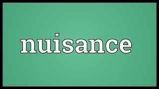 Nuisance Meaning [upl. by Magdala]