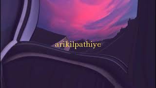 arikil pathiye slowed and reverb  Oru Murai Vanthu Paarthaya [upl. by Rinaldo265]