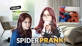 SPIDER REVENGE PRANK  IVANA ALAWI [upl. by Eillom859]