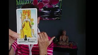 Queen of Wands  Vibrant Appreciation For Life Tarot Court Card Meaning [upl. by Dearman]