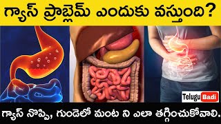 Gas Problem Explained Telugu  Gastric Causes Symptoms Treatment in Telugu How to Cure Gas Pain [upl. by Lattie]