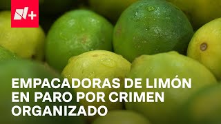 Consumidores y comerciantes sufren paro de limoneros en Michoacán  En Punto [upl. by Clovis]