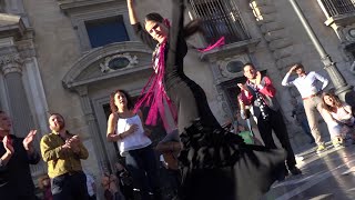 María Beautiful Flamenco dancer in Granada [upl. by Mahsih]