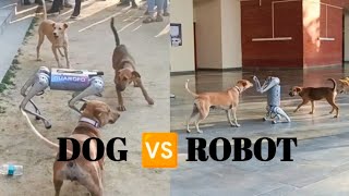 Robot dog vs Street dogs 🤣  IIT KANPUR [upl. by Ateuqahs]