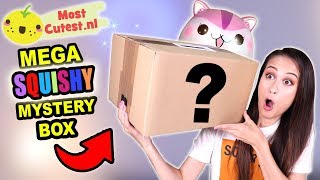 MEGA SQUISHY MYSTERY BOX OPENEN van MOSTCUTESTNL [upl. by Alexine]