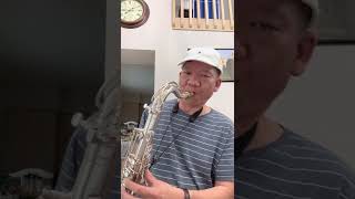 Selmer Mark VI vs Selmer Super Balanced Action SBA wwwcolumbusaxcom [upl. by Tonye56]