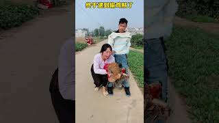 You are so brave that you dare to steal my chicken Mr Zheng and Du Xiao [upl. by Odab]