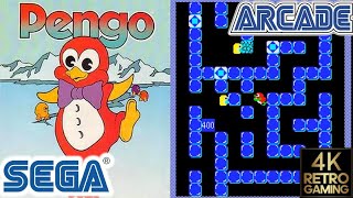 Pengo Arcade  Sega 1982  4k Gameplay [upl. by Sachi862]