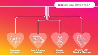 Plasma Donation Basics  Versiti Blood Centers [upl. by Adena970]