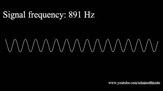 20Hz to 20kHz Human Audio Spectrum [upl. by Kciregor935]