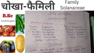 Family Solanaceae  Potato Family  Egg Plant YashPartner biology [upl. by Yole]