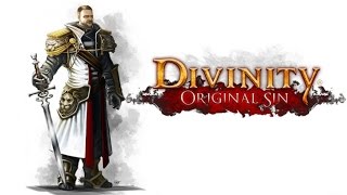 Divinity Original Sin  Vale ou não a pena jogar [upl. by Halimaj]