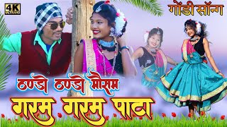 ठंडो ठंडो मौसम  गरम गरम पाटा  GONDI SONG  PAYAL WALE SANGO ADIWASI SONG 2024  gondi adivasi [upl. by Leihcar]