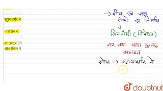 एन्जियोस्पर्म में सिनगैमी निषेचन अवधारणा की खोज की  12  पुष्पीय पादपों में लैंगिक जनन  B [upl. by Abert401]