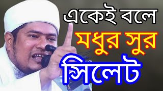 একেই বলে মধুর সুর । কি বলবো অসাধারণ ওয়াজ ভাই Bangla waz 2024 [upl. by Kimmel3]