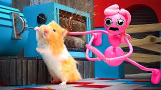 🔴 Hamster Adventure Live 247  I Built 7 EXTREME Prison Mazes for My Hamster [upl. by Yrrej]