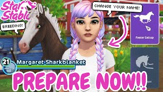 5 THINGS TO PREPARE FOR HORSE PROGRESSION BREEDING NEW PLAYER CHARACTERS amp MORE STAR STABLE [upl. by Derrik]