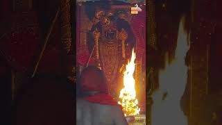 राजाधिराज द्वारकाधीश जी के संध्या आरती दर्शन 🙏 sandhyaaarti shreedwarkadhishjagadmandirdwarka [upl. by Osi]