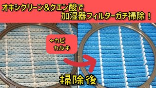 【フィルター掃除ガチ勢②】4分で覚える加湿器フィルターの再生方法❢ [upl. by Anerb226]