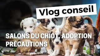 Salon du chiot adoption  précautions [upl. by Nilrac740]