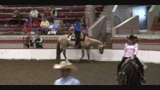 AQHA Stallion Zips Goodbar Chip [upl. by Grantham]