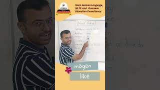 quotMaster German Modal Verbs  Essential Grammar for Beginnersquot [upl. by Kung816]