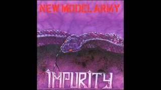 New Model Army  Bury The Hatchet [upl. by Yevoc]