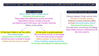 Conditions causing increase in ECF amp Blood Volume Chapter 30 part 6 Guyton and Hall Physiology [upl. by Gearhart]