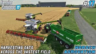 Stone Mining Undertaking Contract for an 85Hectare Field Harvest  HORSCH AgroVation  FS 22  17 [upl. by Murvyn723]