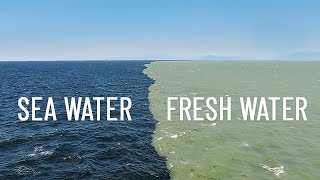 Fresh Water Meets Sea Water – Boundary Explained [upl. by Etan]