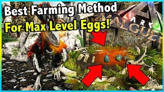 HOW TO FARM UNLIMITED MAX LEVEL DEINONYCHUS EGGS IN ARK VALGUERO  ARK VALGUERO [upl. by Terle]