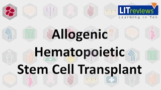 Allogeneic Hematopoietic Stem Cell Transplant [upl. by Helbonnas730]