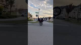 Yz125 wheelies 2stroke yz250 yz125 bikelife bikeshorts bikestunt 12oclock [upl. by Boff]