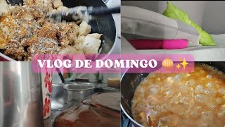 VLOG Manhã de Domingo 🧅✨ Fiz Strogonoff de frango [upl. by Calysta]