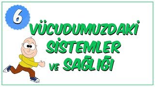 6Sınıf Fen Bilimleri  Vücudumuzdaki Sistemler ve Sağlığı [upl. by Nobe]