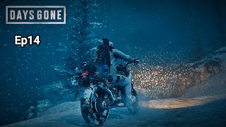 DAYS GONE ep14 [upl. by Caren]