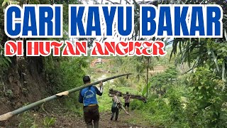 Berpetualang Ke Hutan Angker Mencari Kayu Bakar [upl. by Adela]