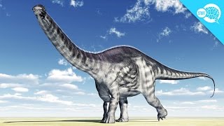 Did The Brontosaurus Exist [upl. by Eelesor]