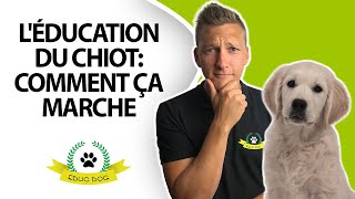 ✅ MES CONSEILS POUR ÉDUQUER UN CHIOT [upl. by Franciska365]