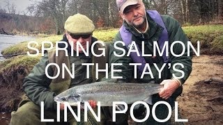 Epic spring salmon fishing on the River Tay in Perthshire  The Linn Pool on fire [upl. by Yblehs405]