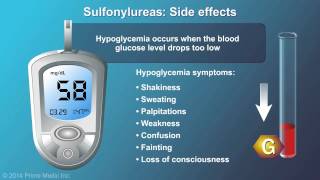 Treatment and Management of Type 2 Diabetes [upl. by Ynottirb]