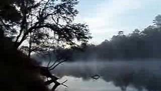 Morning On The Suwannee River In Florida [upl. by Greer]