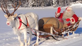 Père Noël amp rennes en Laponie 🎅🦌 les meilleurs départs amp promenades du Papa Noël en Finlande bestof [upl. by Eenaffit]