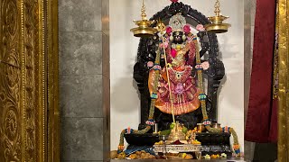 Shri Vishnu Durgai Amman Temple Switzerland [upl. by Lilhak150]